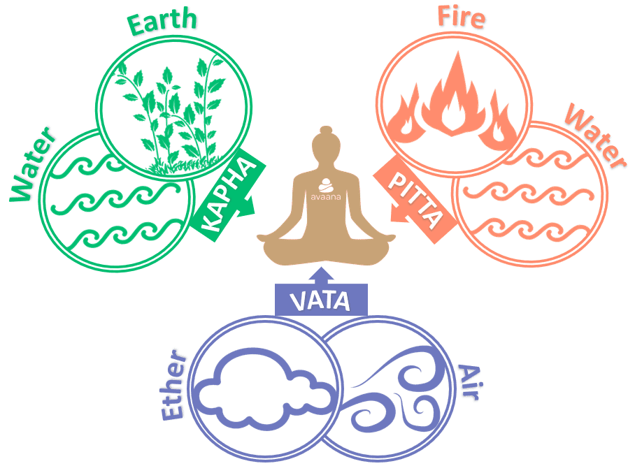 ayurveda, doshas, dosha, kapha, pitta, vata, ayurvedic medicine, Avaana