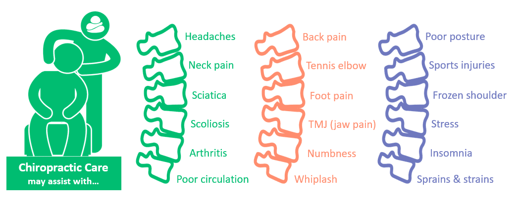 chiropractic, chiropractic care, chiropractor, spine, spinal adjustment, back cracking, conditions, treatment, allied health, avaanawellbeing, avaana