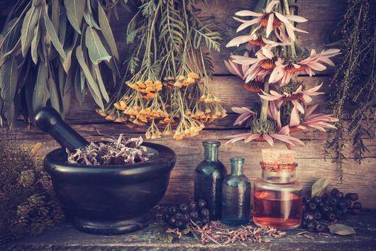 naturopathy