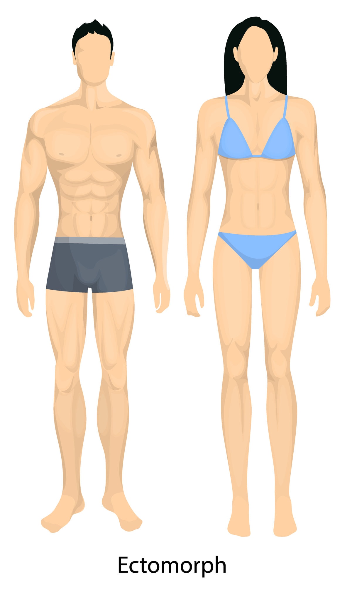 Ectomorph Body Types