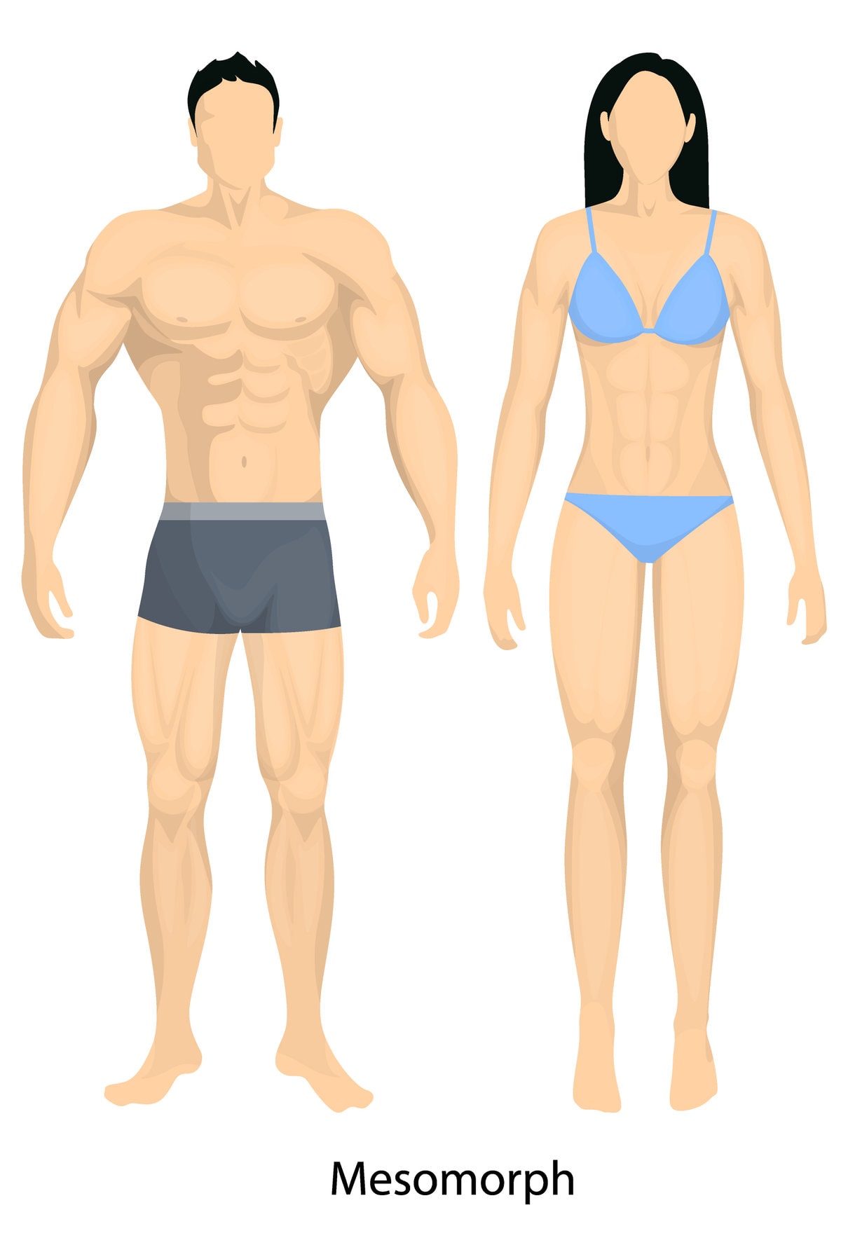 Mesomorph body type online workout