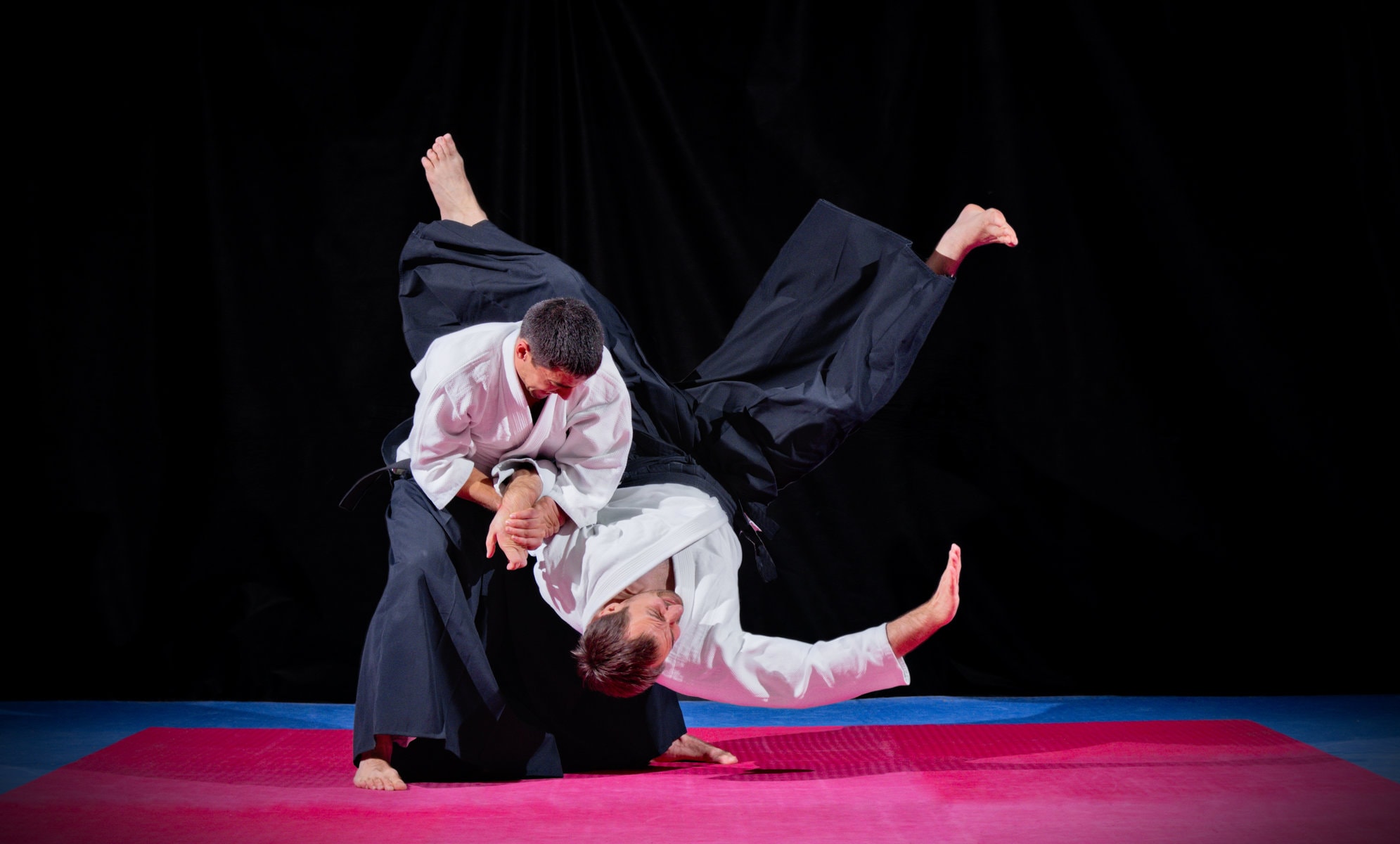 Aikido Japanese Martial Arts