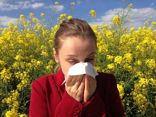 Running nose by allergies