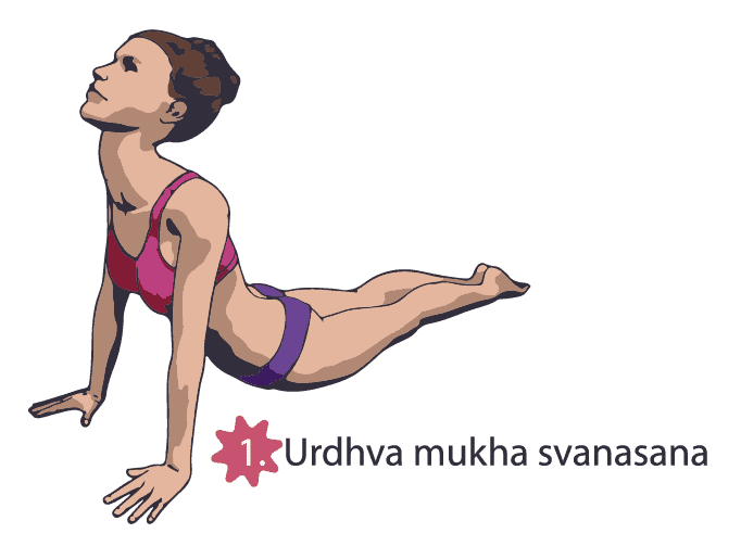 Urdhva mukha svanasana poses workout at home