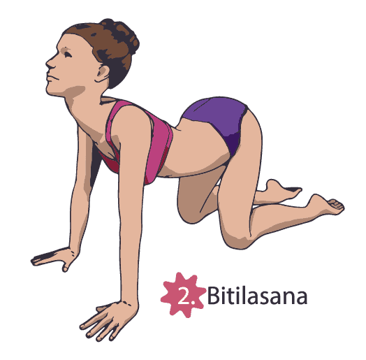 Bitilasana yoga poses workout at home