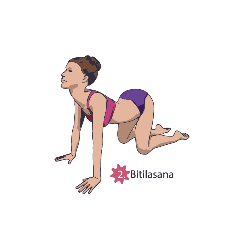 Cat-Cow pose - how to do at home