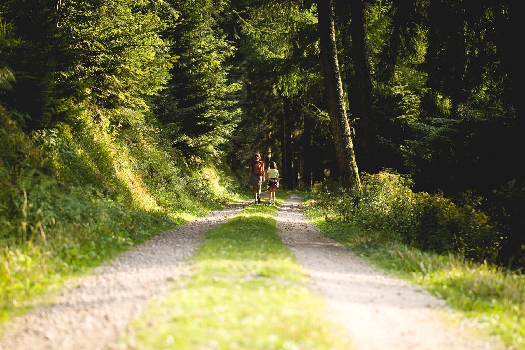 nature walking for fitness