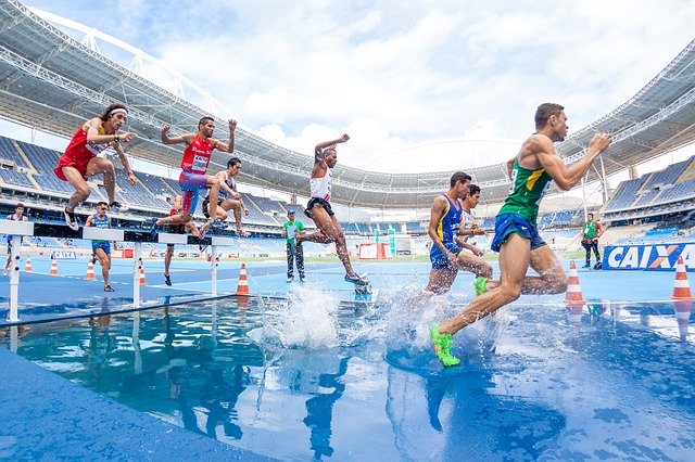 sports nutrition
