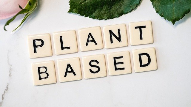 plant based diet 