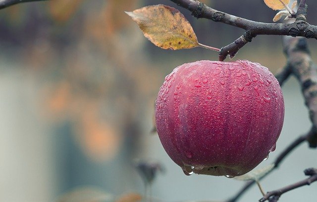 growing produce without chemicals