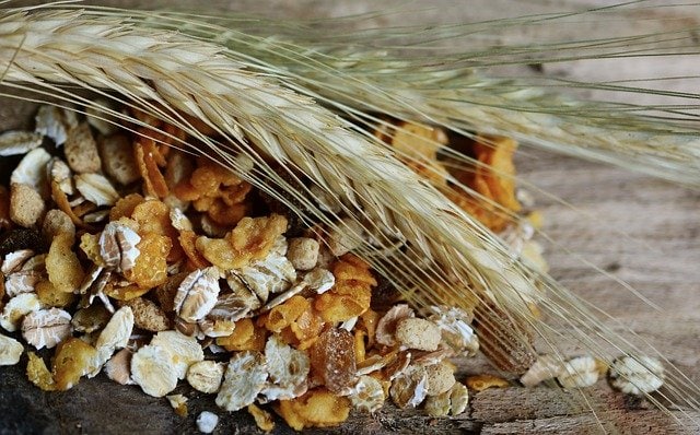adding whole grains to your diet 